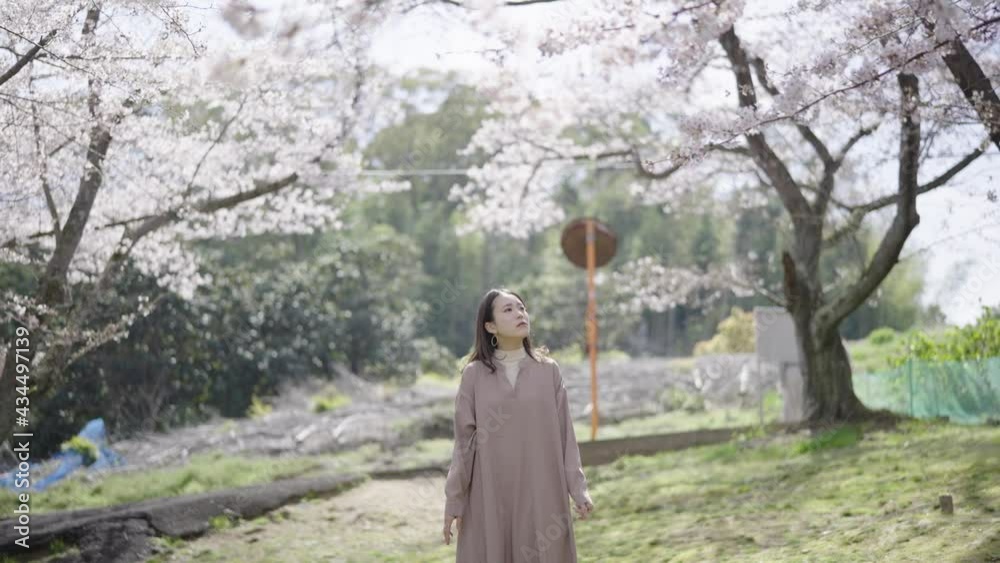桜のある公園を散策する女性 桜のある公園を散策する女性