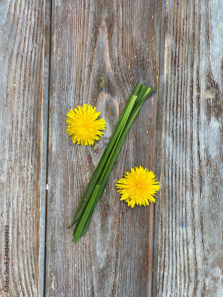 Obraz premium Mathematical figures made of natural material, grass and flowers.
