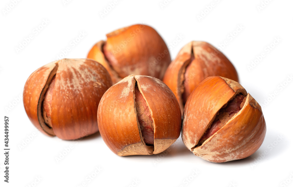 whole hazelnuts isolated on white background whole hazelnuts isolated on white background