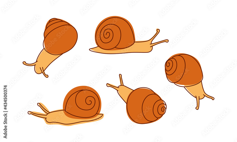 Set of stylized minimalist garden snails. Colored line art for cosmetic packaging design, logo, banner, or label. Hand-drawn vector elements isolated on white background. 
