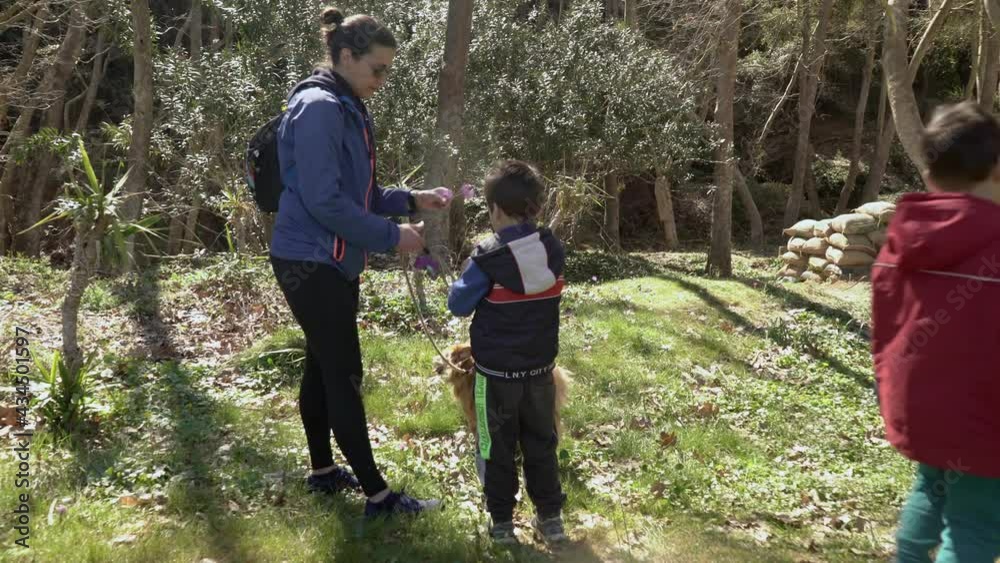 Caucasian mother and her boys, walking in the woods, at forest of Parnitha, Greece, along with their pet dog , 4k 30fps Caucasian mother and her boys, walking in the woods, at forest of Parnitha, Greece, along with their pet dog , 4k 30fps