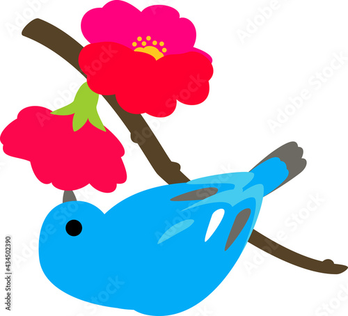 花の蜜を吸う小鳥