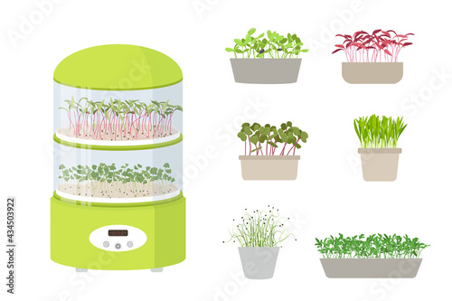 Germinator with Sprout Trays for micro greens. Set of seeds and sprouts of microgreens in boxes. Organic healthy vegeterian superfood. Cartoon Flat Vector illustration isolated on white background