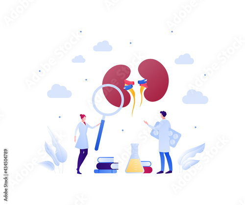 Urology disease treatment and research concept. Vector flat medical illustration. Human kidneys, medicine pills, magnifier glass and book sign. Male and female doctor scientist team.