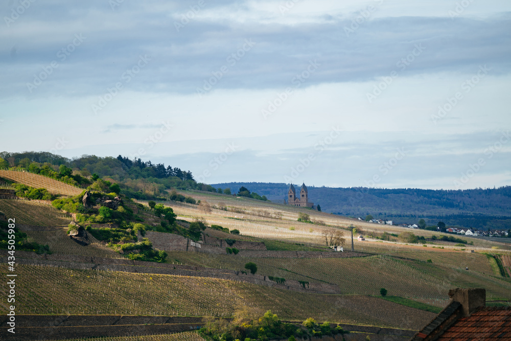 Fototapeta premium The small town of Rüdesheim, Germany, known as 
