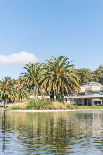 beautiful park with palm trees and a small river. © Nazar