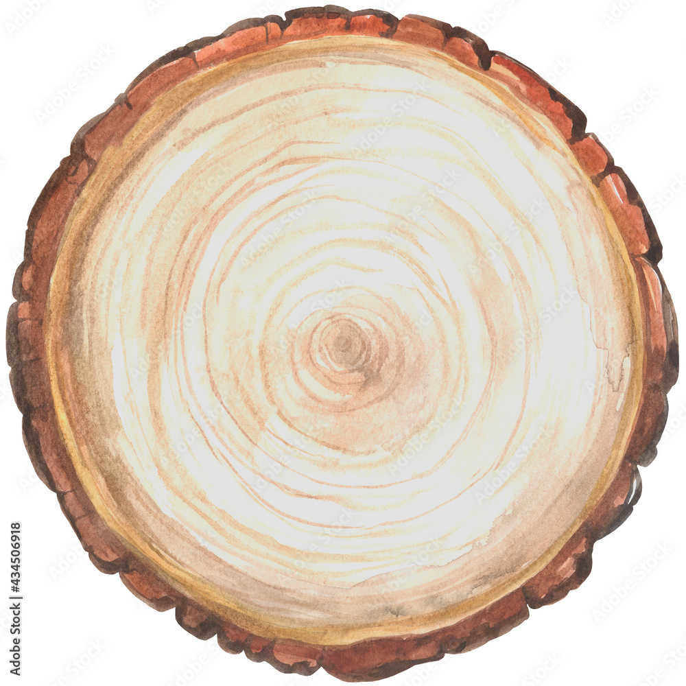 Large circular piece of wood cross section Large circular piece of wood cross section