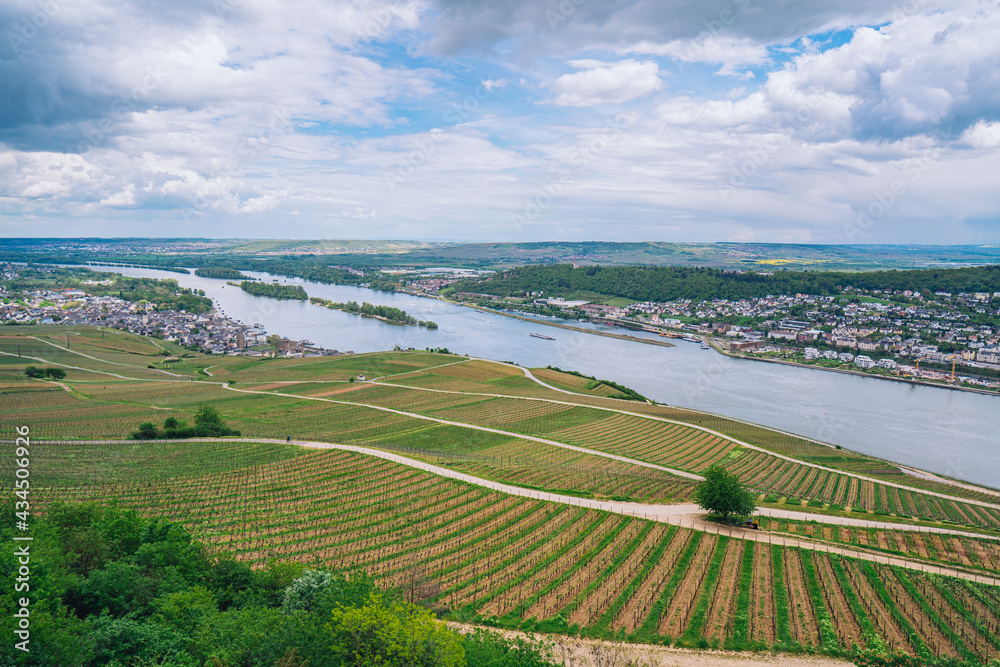 A full view of the town of Rüdesheim, Germany, known as 