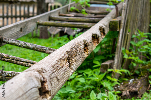 Old broken wooden ladder in spring garden