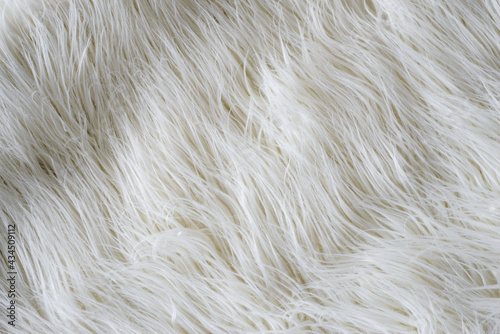 fur background. Fur Carpet