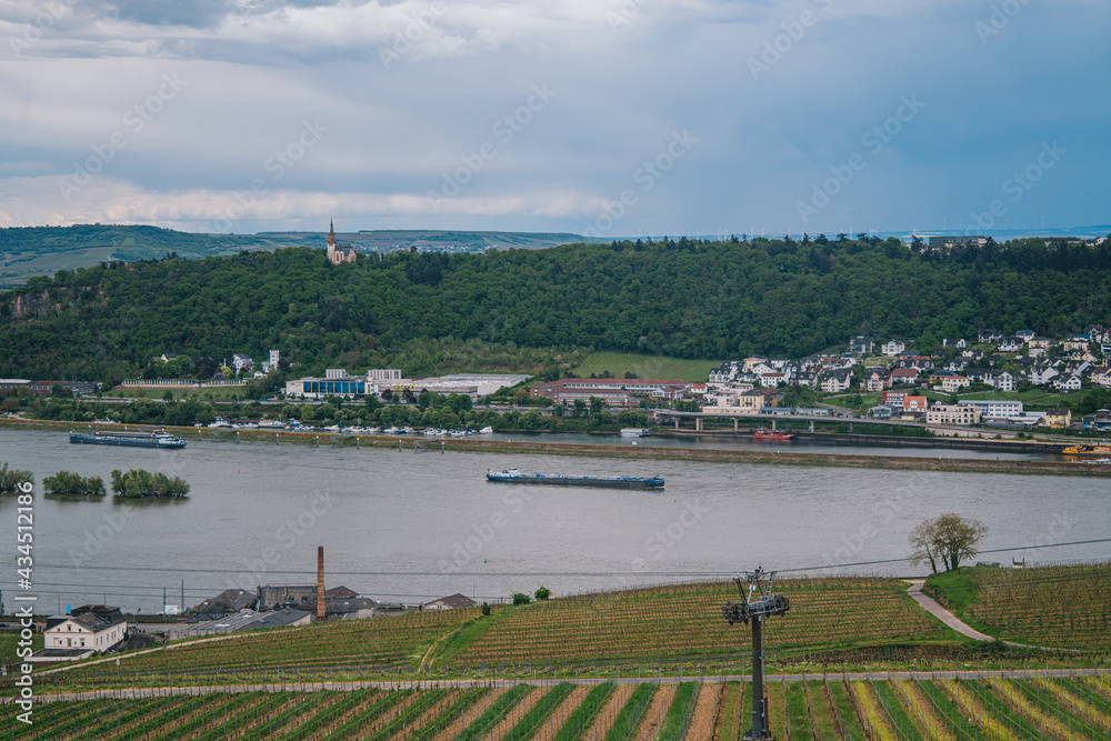 Overlooking the beautiful Rhine Valley in Germany, with vast vineyards on both sides