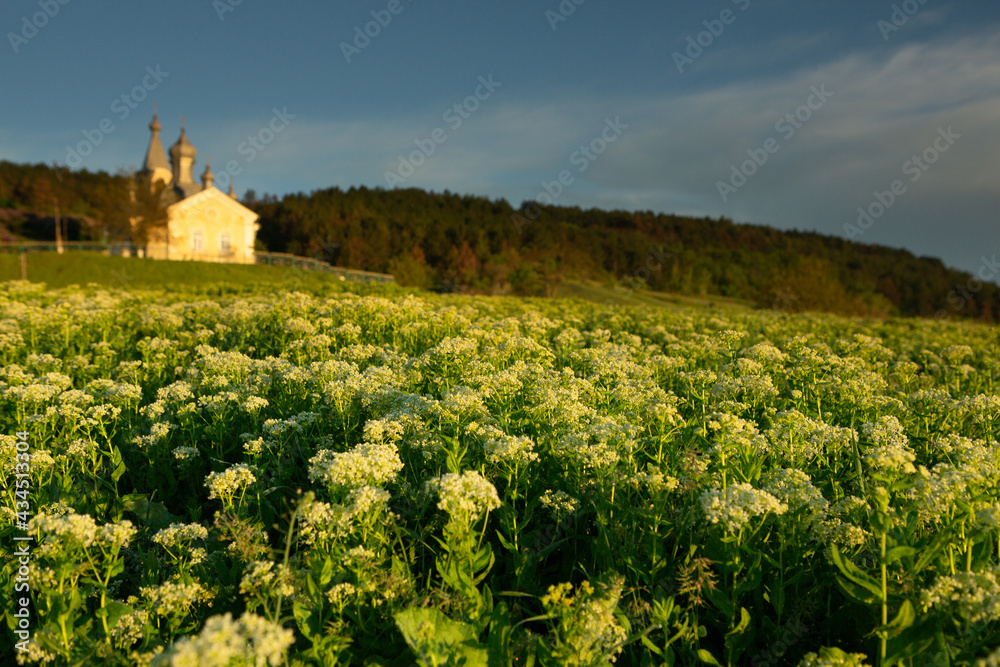 Christian religion background concept. Green landsca[e with Orthodox church.