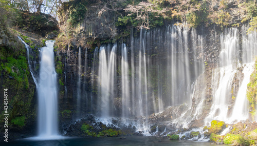 富士市　白糸の滝 © 周平 雨宮