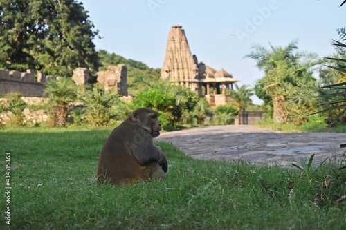 Quadro su tela Bhangarh fort,alwar,rajasthan,india