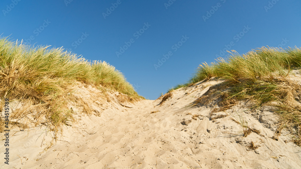 Landscape with dunes and sand and blue sky Landscape with dunes and sand and blue sky