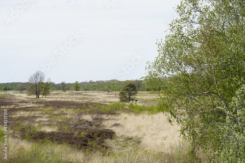 Moorgebiet in Nrw in deutschland