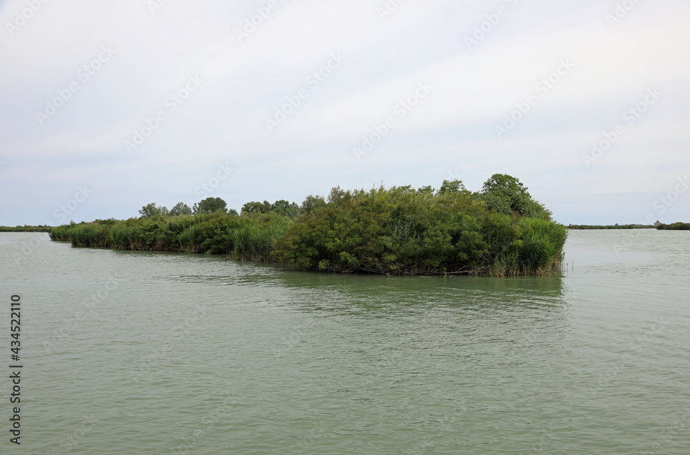 islet with vegetation on the mouth of the great river Po near the Adriatic sea