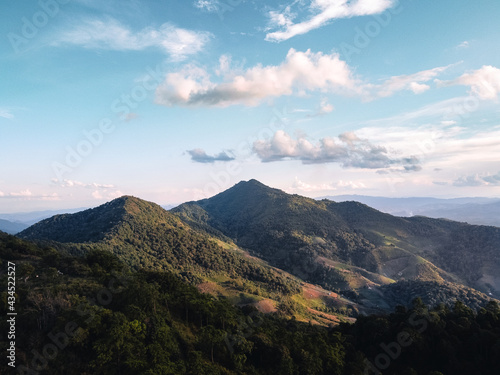 Mountain and tree Landscape in summer