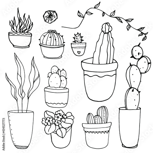 Hand drawn set of houseplants isolated on white background. Set of decorative indoor and office plants in pot.Vector.
