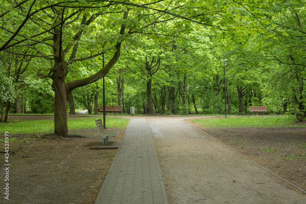 A cobbled path in a city park made of stones A cobbled path in a city park made of stones