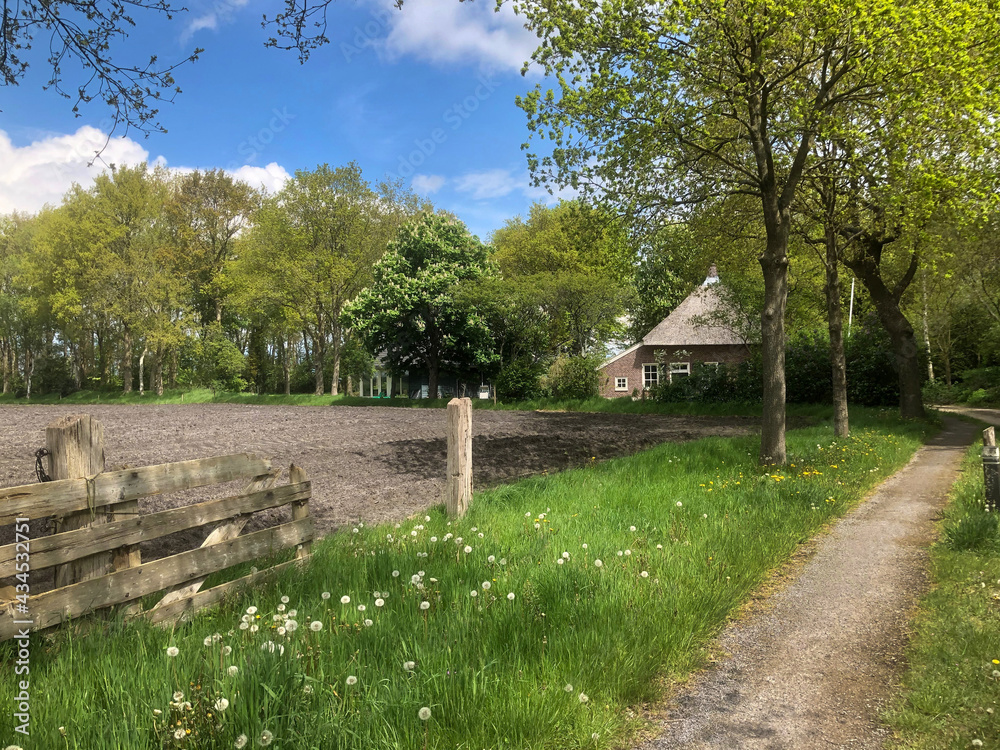 Dirt road on countryside with small farmhouse. Uffelte Drenthe Netherlands. Dirt road on countryside with small farmhouse. Uffelte Drenthe Netherlands.