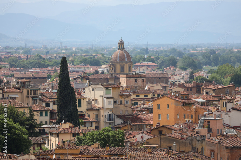 La città di Firenze e le sue arti