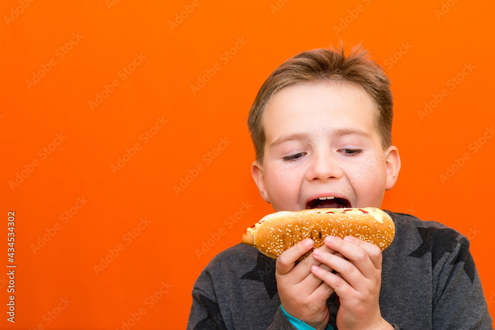 Handsome 10 yers old boy holding and biting hot dog closeup indoors carrot studio background image.Close up,copy space. Handsome 10 yers old boy holding and biting hot dog closeup indoors carrot studio background image.Close up,copy space.