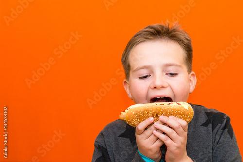 Handsome 10 yers old boy holding and biting hot dog closeup indoors carrot studio background image.Close up copy space.
