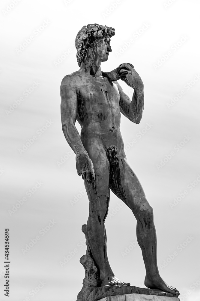 Fototapeta premium La città di Firenze e le sue arti