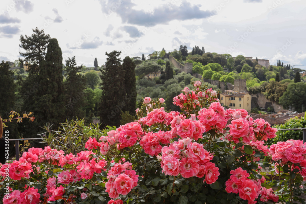 Il giardino delle rose di Firenze