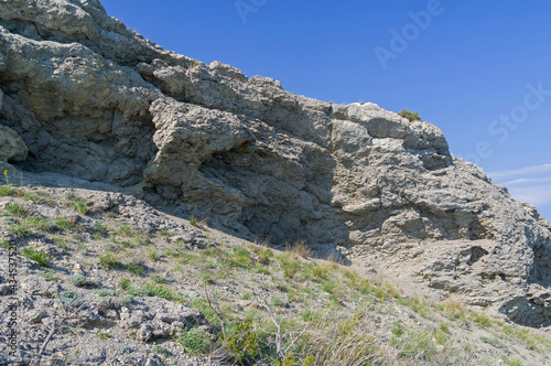Foto Fossilized coral deposits.