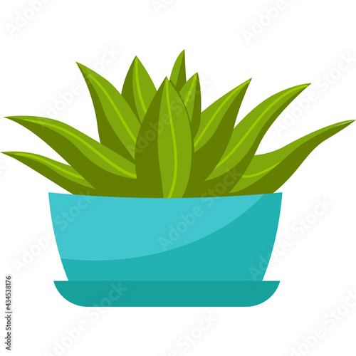 Indoor plant, aloe vera in a blue flowerpot. Home succulent. Vector illustration in flat cartoon style, isolated on white background.