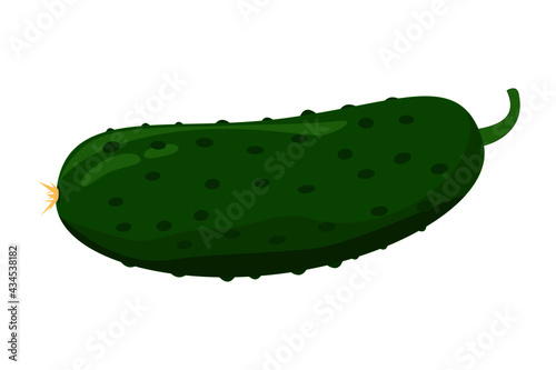 single cucumber isolated on a white background