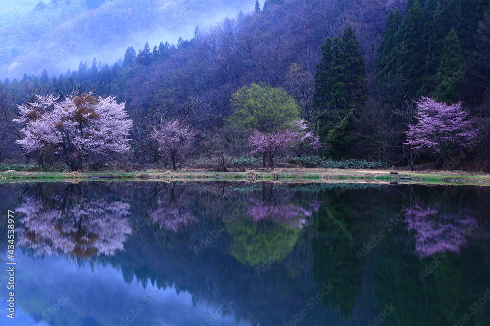 春の錦秋湖