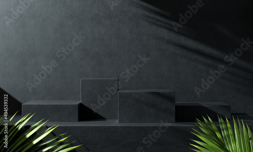 Modern Dark Black Concrete Podium Set With Palm Leaf And Sunlight Shadow Abstract Background 3d Render