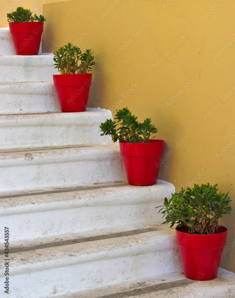 Naklejka premium red pots with green flowers on white stairs. conceptual artistic design 