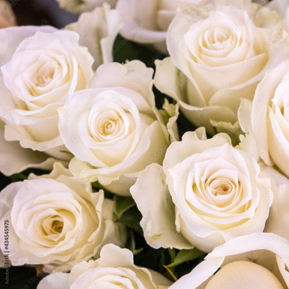 Colorful flower bouqet arrangement. Summer flowers held by florist in hand close up. Flowers for wedding and happy occasions. Colorful flower bouqet arrangement. Summer flowers held by florist in hand close up. Flowers for wedding and happy occasions.
