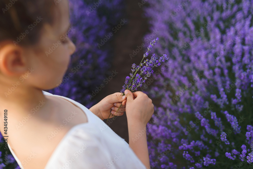 Fototapeta premium girl in white with lavender bouquet