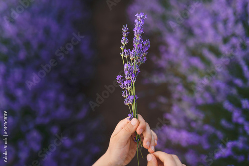 girl holding lavender bouquet