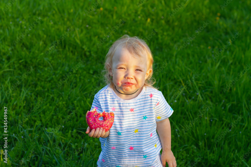 Picnic in the summer for children. Cute baby girl 2 years old eats a sweet pink donut in the summer in a green meadow Picnic in the summer for children. Cute baby girl 2 years old eats a sweet pink donut in the summer in a green meadow