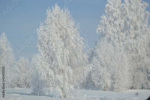 along the road in winter
