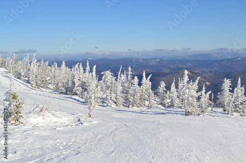 mountain shoria