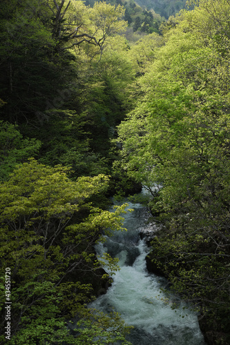 定山渓・小樽内川（Jozankei / Otarunai River）
