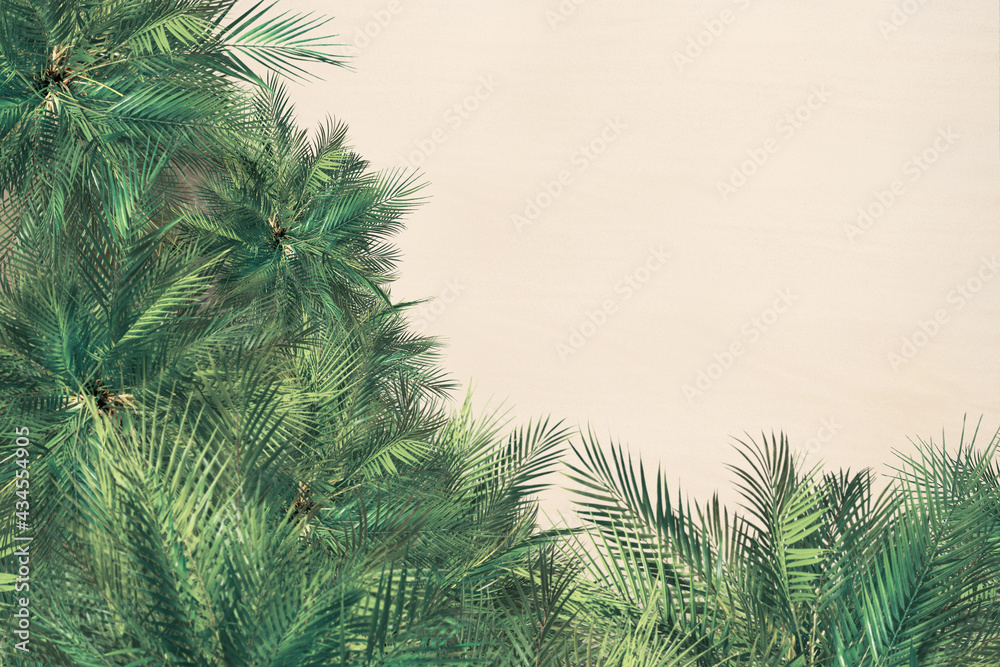 Obraz premium Top and aerial view on tropical sand beach, palm tree. Copy space. Drone photo. Background