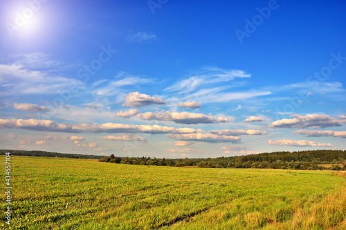 Summer landscape