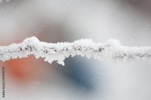 Winter frosty weather, a branch under the snow © justoomm