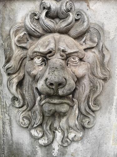 Löwenkopf - Lion