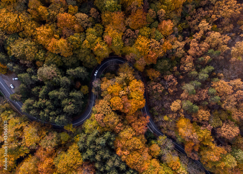 Aerial view of curvy road in beautiful autumn forest. Top view of roadway with autumn colors. Road on Fruska gora mountain in Serbia,Vojvodina © ShoneNS