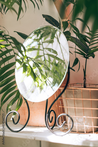 Mirror and potted houseplants on the table in home interior.Biophillia design.Urban jungle.Selective focus, close up. photo