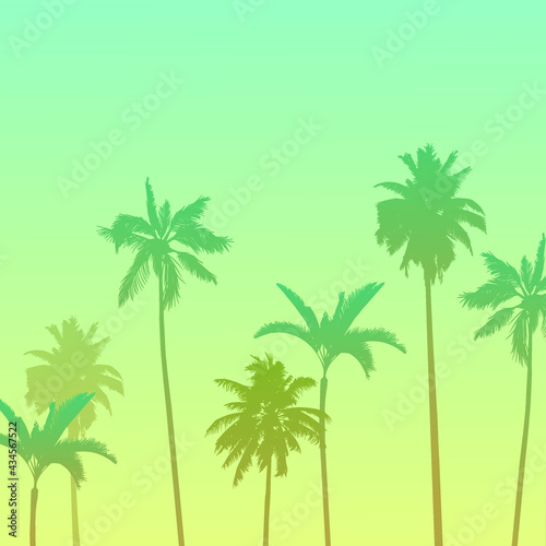 Vector illustration, image of palm trees on a warm summer evening © Olga Boboshko